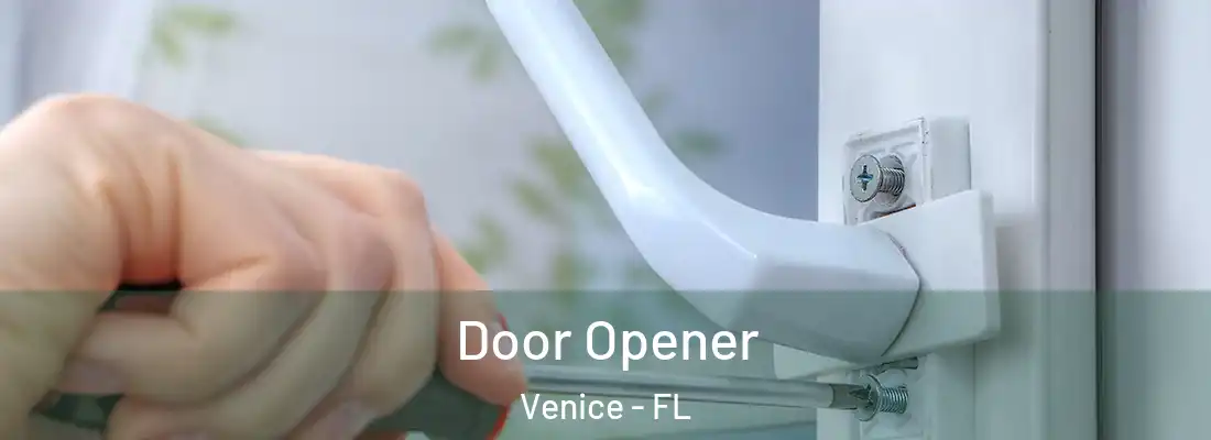 Door Opener Venice - FL